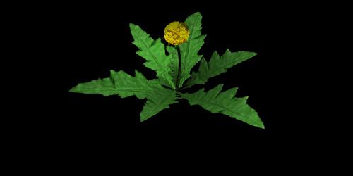 JS LinAx nature weed2 preview image